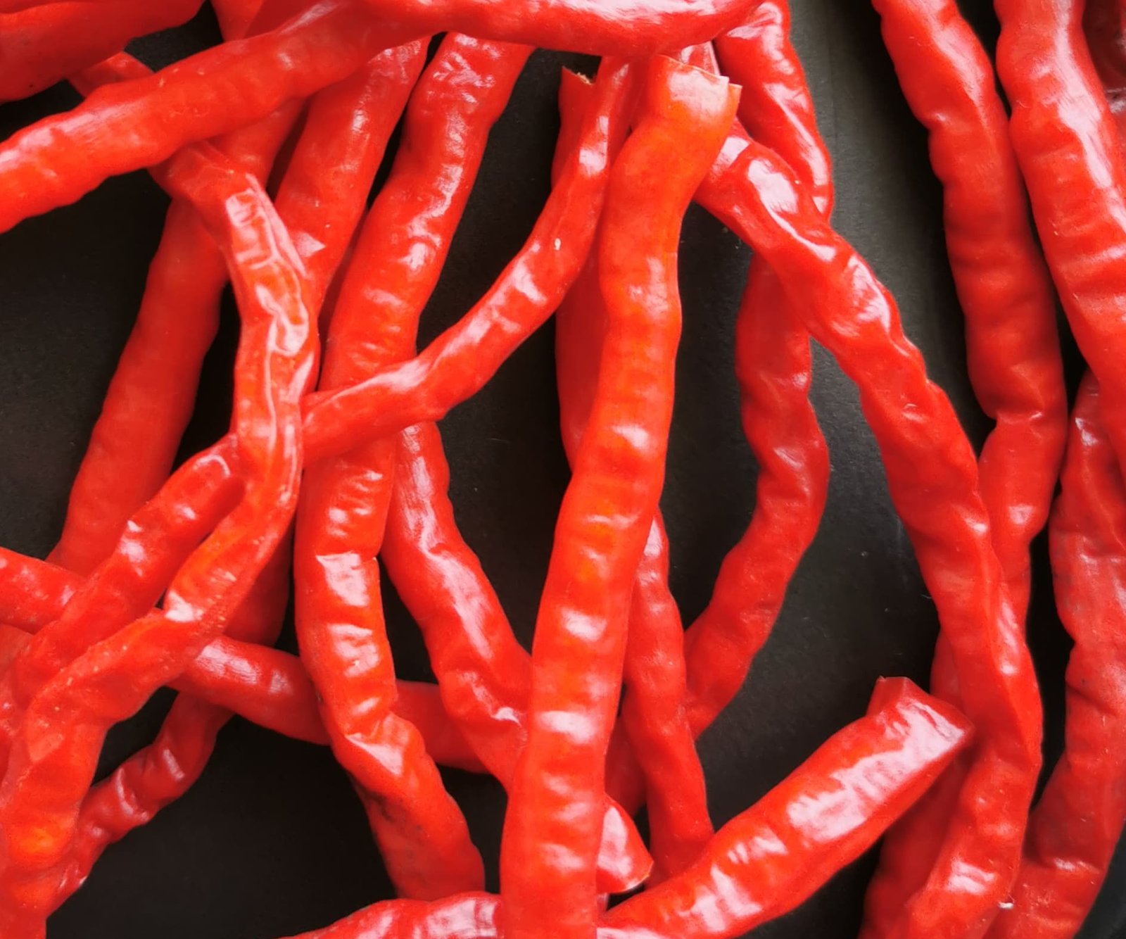 Thunder Mountain Longhorn cultivados y cosechados en el pais vasco. Hechos por Txili picantes.