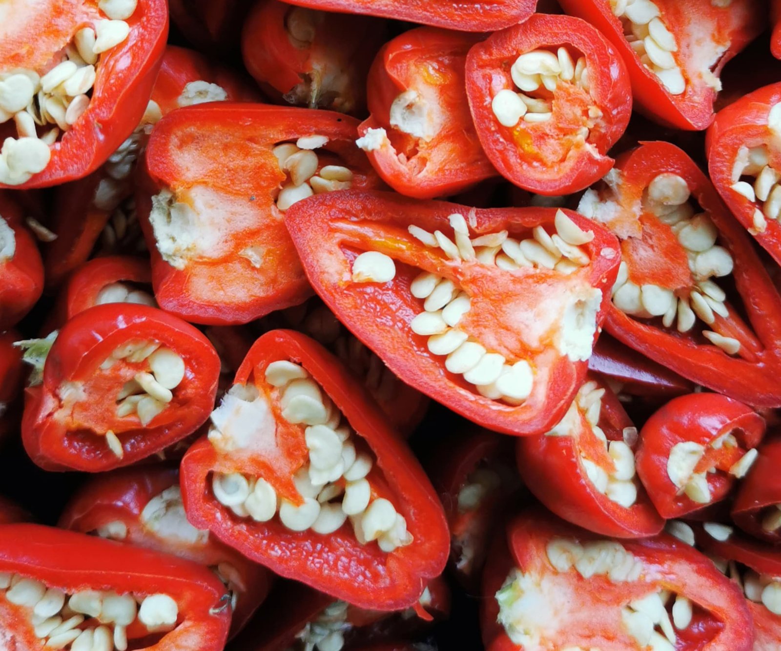 Habaneros cultivados y cosechados en el pais vasco. Hechos por Txili picantes.