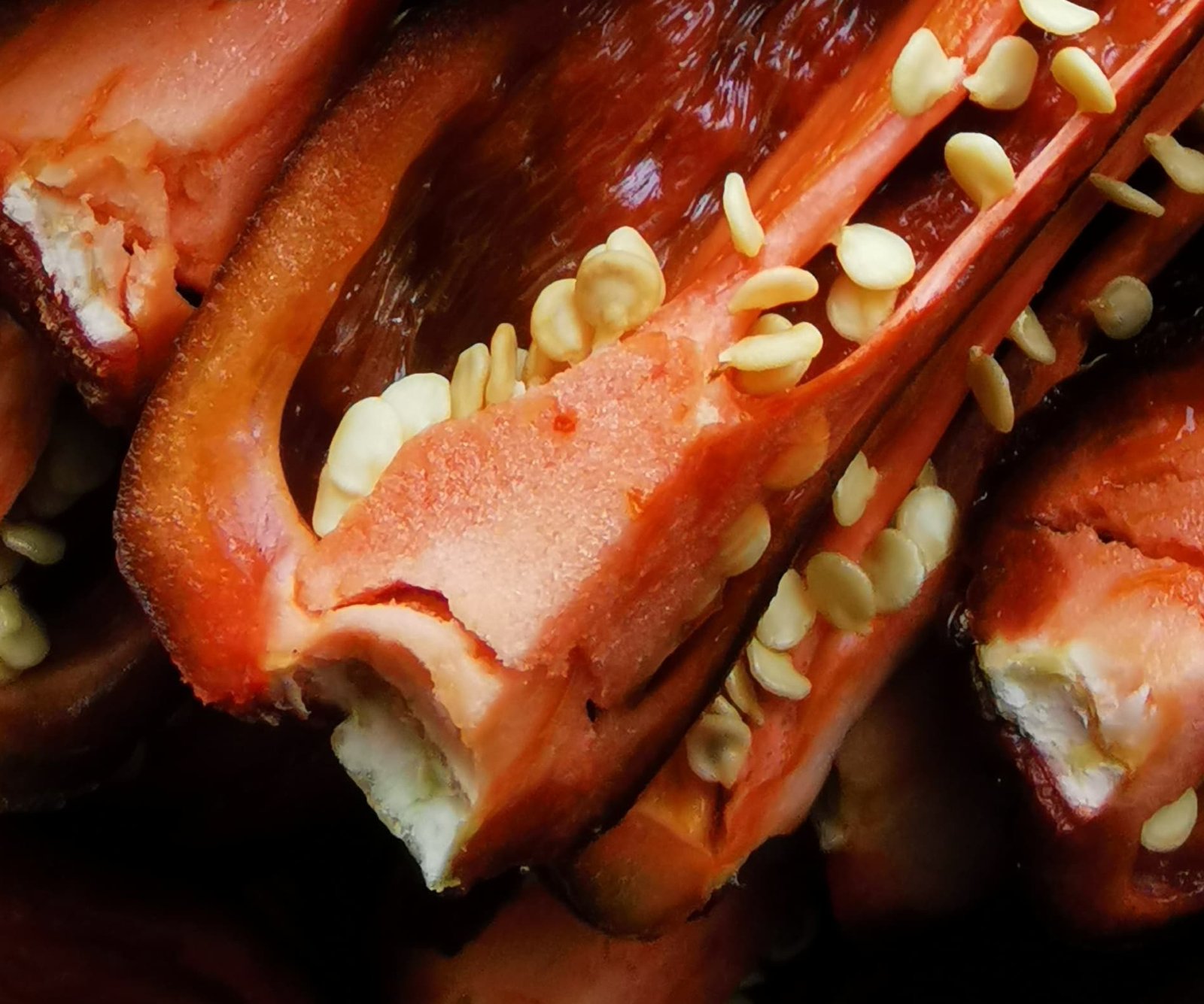 Jalapeño marron cultivados y cosechados en el pais vasco. Hechos por Txili picantes.